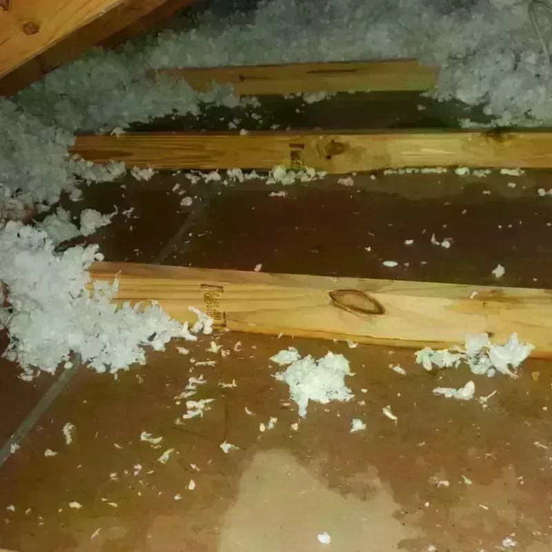 Attic Water Damage in Salinas, PR